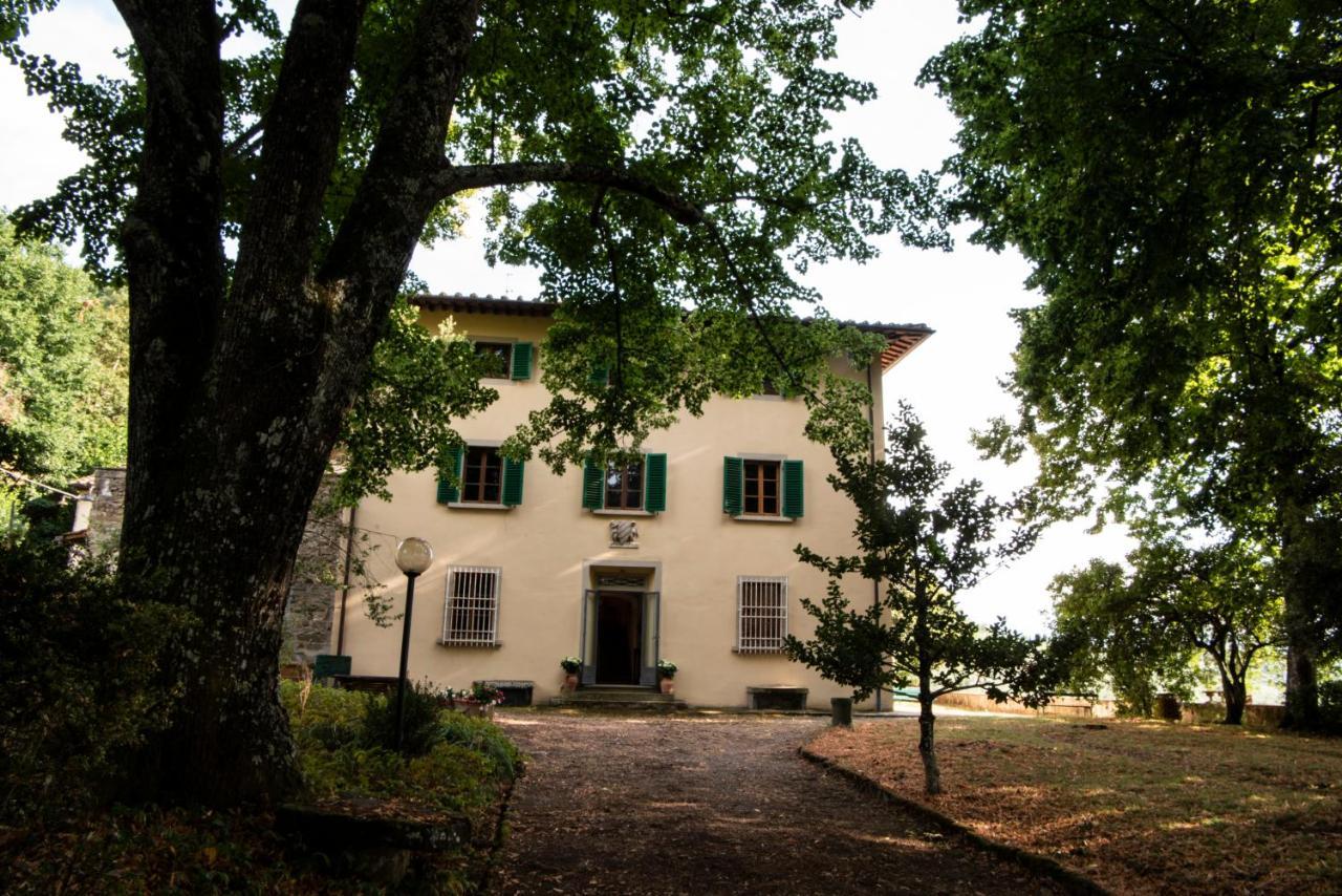 Fattoria Di Caticciano, Elegante Affittacamere Relax E Natura Vicino Firenze Pelago Buitenkant foto