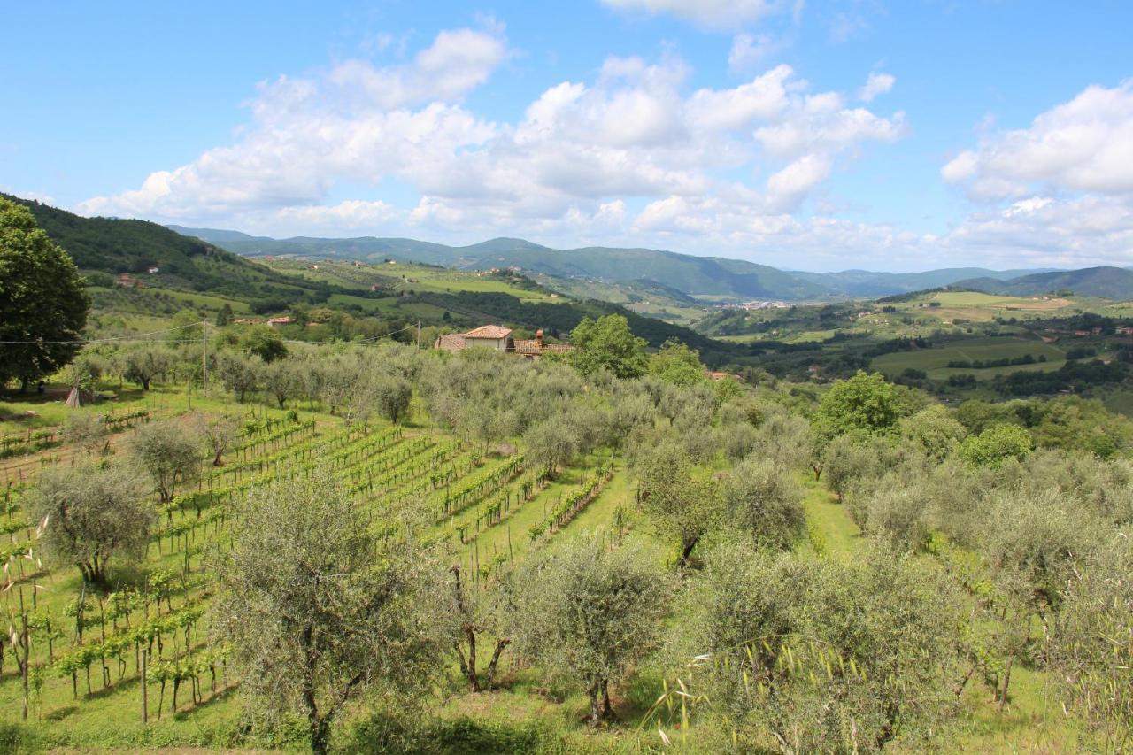 Fattoria Di Caticciano, Elegante Affittacamere Relax E Natura Vicino Firenze Pelago Buitenkant foto